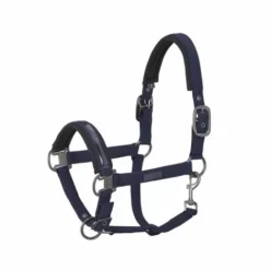 Discount Licol Douplepin Softshell Classic Sport S/S 2021 - Licols Et Longes