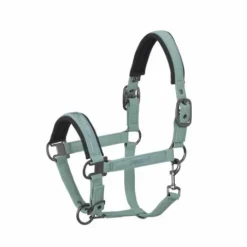 Discount Licol Douplepin Softshell Classic Sport S/S 2021 - Licols Et Longes