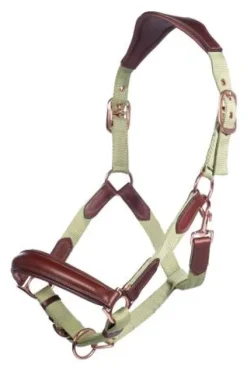 Outlet Licol Edinburgh - - Cuir qualité longue durée Licols Et Longes