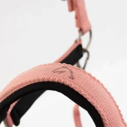 Licol Eevolv Idylle Licols Et Longes