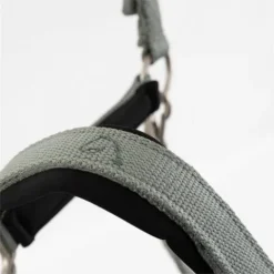 Licol Eevolv Idylle Licols Et Longes