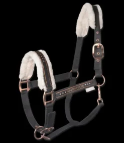 Licol Elegant Mouton Licols Et Longes