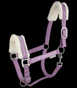 Licol Elegant Mouton Licols Et Longes