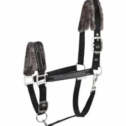 Licol Elegant Mouton Licols Et Longes