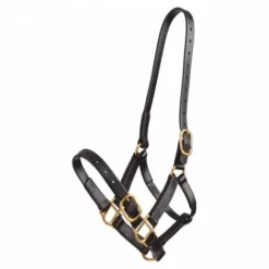 Licol en biothane Licols Et Longes