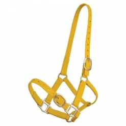 Licol en biothane Licols Et Longes