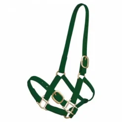 Licol en biothane Licols Et Longes