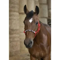 Outlet Licol en corde ethologique Pearl Licols Et Longes