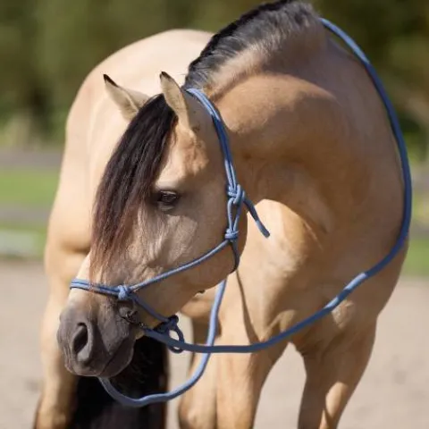 Sale Licol en corde free ride - - ethologique Licols Et Longes