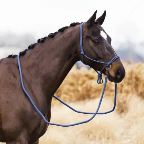 Sale Licol en corde free ride - - ethologique Licols Et Longes