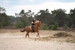 Sale Licol en corde free ride - - ethologique Licols Et Longes