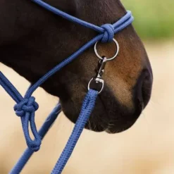 Sale Licol en corde free ride - - ethologique Licols Et Longes