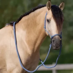 Sale Licol en corde free ride - - ethologique Licols Et Longes