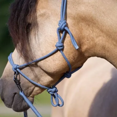 Sale Licol en corde free ride - - ethologique Licols Et Longes