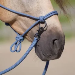 Sale Licol en corde free ride - - ethologique Licols Et Longes