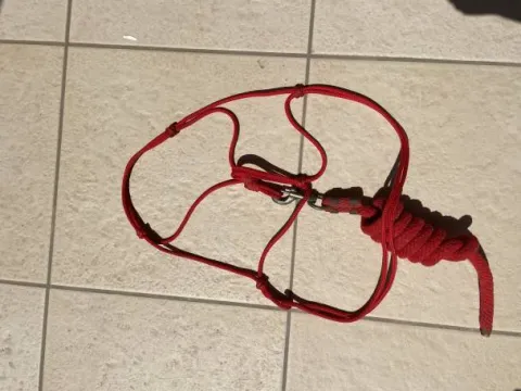 Sale Licol en corde rouge avec longe Licols Et Longes