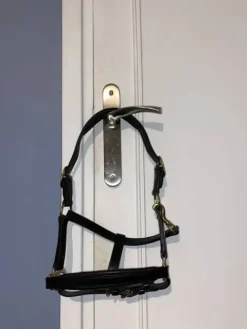 Discount licol en cuir Licols Et Longes