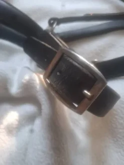 Licol en cuir Licols Et Longes