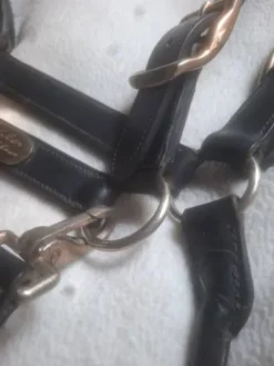 Licol en cuir Licols Et Longes