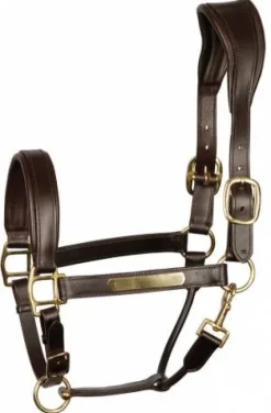 Outlet Licol en cuir Anatomic - Harry's Horse Licols Et Longes