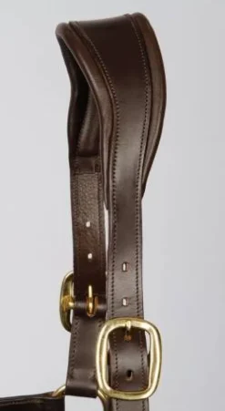 Outlet Licol en cuir Anatomic - Harry's Horse Licols Et Longes