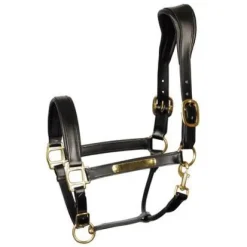 Outlet Licol en cuir Anatomic - Harry's Horse Licols Et Longes