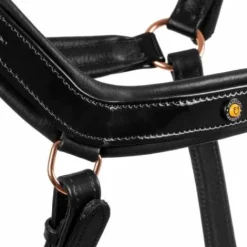 Hot Licol en cuir avec boucles dorées - Licols Et Longes