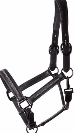 Outlet Licol en cuir avec strass - HARRY'S HORSE Licols Et Longes