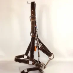 Sale Licol en cuir Chromé – Gamme Ecurie – Licols Et Longes