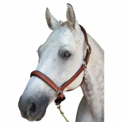 Sale Licol en cuir Denver - Lexington Licols Et Longes