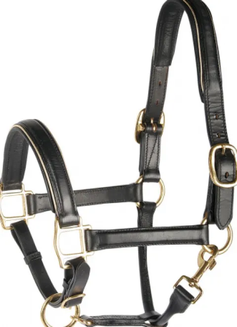 Licol en cuir doré ou argent - Harry's Horse Licols Et Longes
