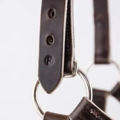 Outlet Licol en cuir gamme élevage - Licols Et Longes