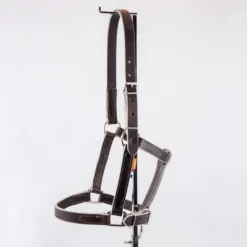 Outlet Licol en cuir gamme élevage - Licols Et Longes