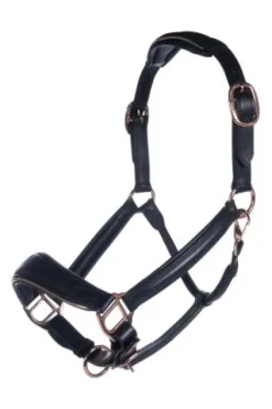 Sale Licol en cuir Gold Poney Licols Et Longes