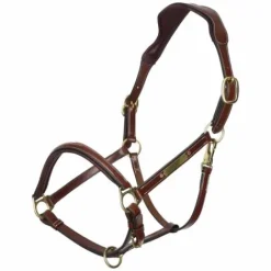 Outlet Licol en cuir Legacy - Licols Et Longes