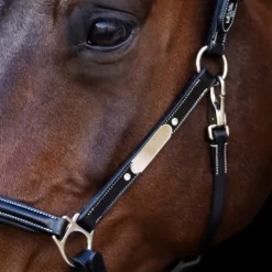 Outlet Licol en cuir Legacy - Licols Et Longes