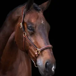 Outlet Licol en cuir Legacy - Licols Et Longes