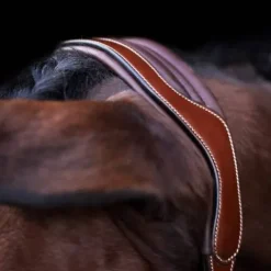 Outlet Licol en cuir Legacy - Licols Et Longes