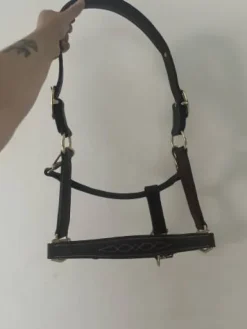 Sale Licol en cuir marron Licols Et Longes