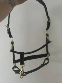 Sale Licol en cuir marron Licols Et Longes