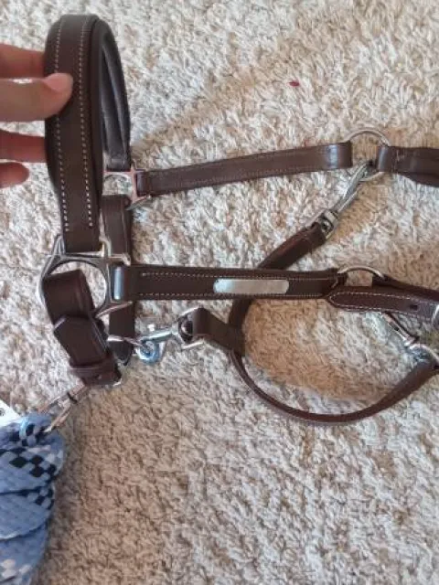 Discount Licol en cuir et longe equitheme Licols Et Longes
