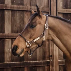 New Licol en cuir rope - Kentucky Licols Et Longes