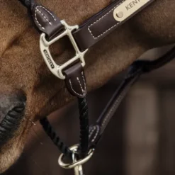 New Licol en cuir rope - Kentucky Licols Et Longes