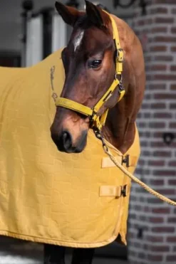 New Licol en cuir synthétique platinum 25 - Licols Et Longes