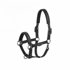 New Licol en cuir synthétique platinum 25 - Licols Et Longes