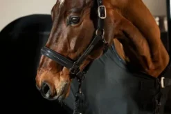 New Licol en cuir synthétique platinum 25 - Licols Et Longes