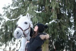 Clearance Licol en cuire Licols Et Longes