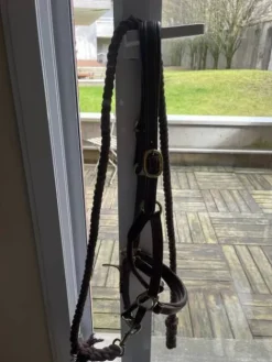 Clearance Licol en cuire Licols Et Longes