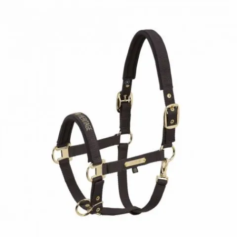 Hot Licol en nylon Heritage 25/26 - - Doublé néoprène Licols Et Longes