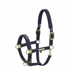 Hot Licol en nylon Heritage 25/26 - - Doublé néoprène Licols Et Longes